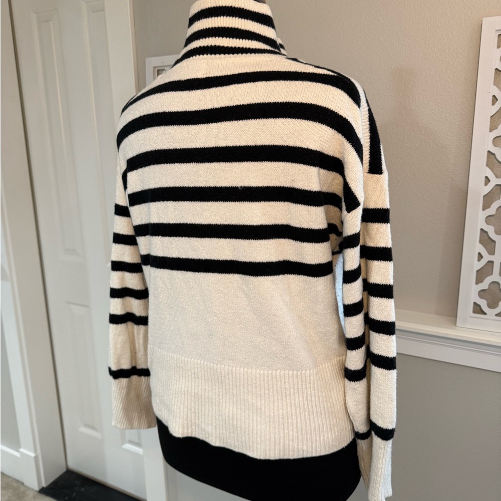 Striped Turtleneck Sweater - Black and White - Picture 9 of 10